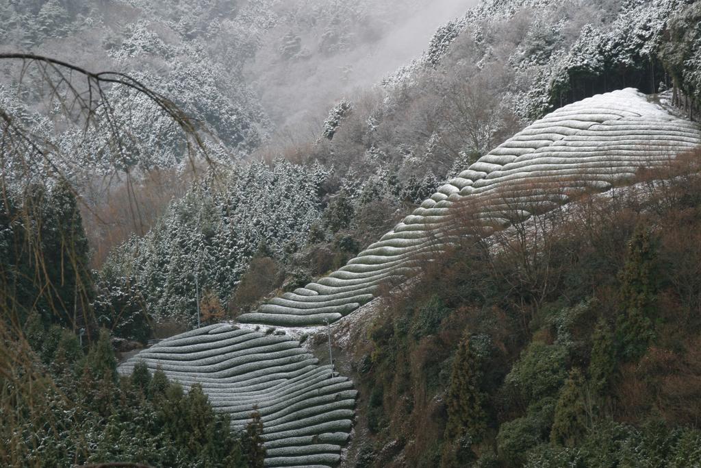 Kyoto Wazukaso Otel Kizugawa Dış mekan fotoğraf