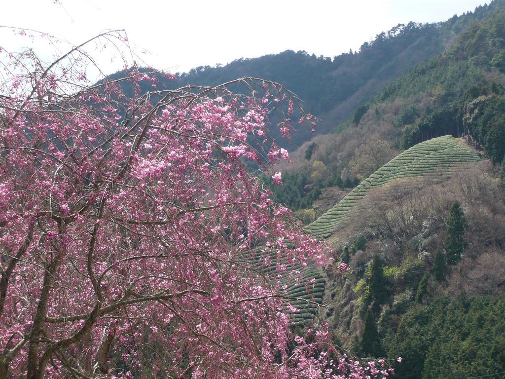 Kyoto Wazukaso Otel Kizugawa Dış mekan fotoğraf