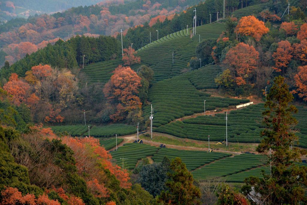 Kyoto Wazukaso Otel Kizugawa Dış mekan fotoğraf